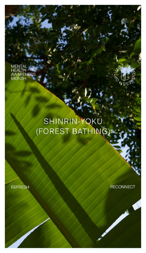 Day 16 ↥ Shinrin-Yoku | Connecting with nature